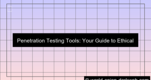 grafik penetration testing tools